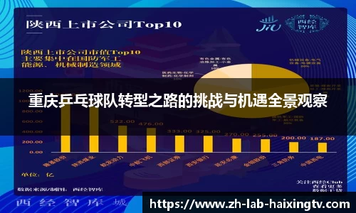 重庆乒乓球队转型之路的挑战与机遇全景观察